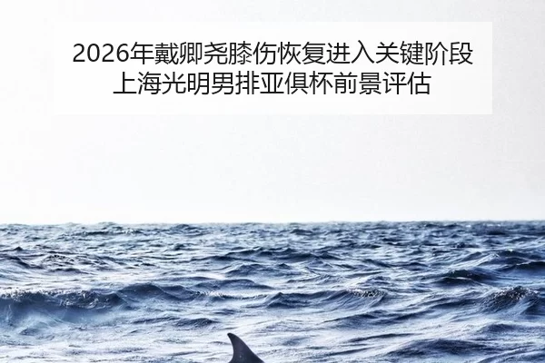 2026年戴卿尧膝伤恢复进入关键阶段 上海光明男排亚俱杯前景评估